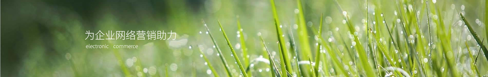 ݸвϿƼ޹˾